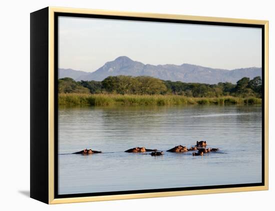 Malawi, Upper Shire Valley, Liwonde National Park-Mark Hannaford-Framed Premier Image Canvas