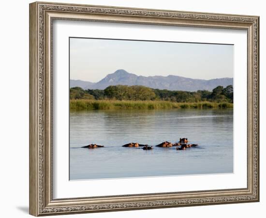 Malawi, Upper Shire Valley, Liwonde National Park-Mark Hannaford-Framed Photographic Print