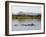 Malawi, Upper Shire Valley, Liwonde National Park-Mark Hannaford-Framed Photographic Print