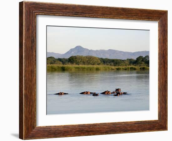 Malawi, Upper Shire Valley, Liwonde National Park-Mark Hannaford-Framed Photographic Print