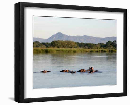 Malawi, Upper Shire Valley, Liwonde National Park-Mark Hannaford-Framed Photographic Print