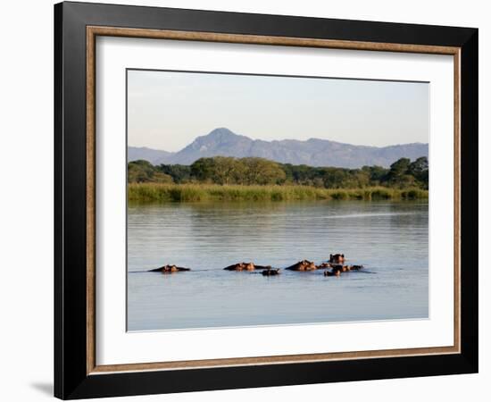 Malawi, Upper Shire Valley, Liwonde National Park-Mark Hannaford-Framed Photographic Print