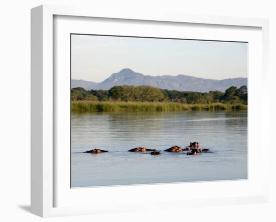 Malawi, Upper Shire Valley, Liwonde National Park-Mark Hannaford-Framed Photographic Print