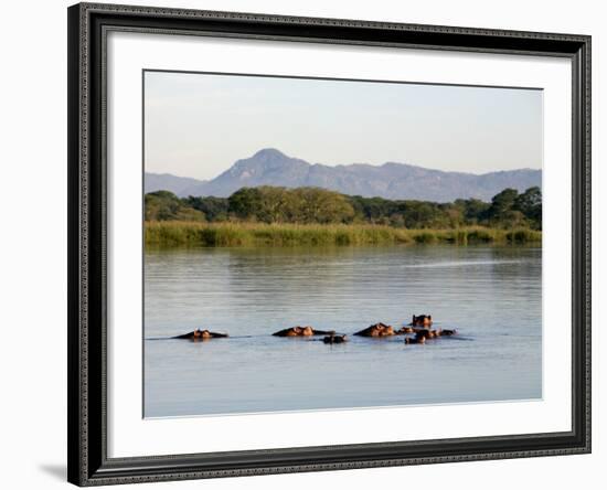 Malawi, Upper Shire Valley, Liwonde National Park-Mark Hannaford-Framed Photographic Print