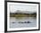 Malawi, Upper Shire Valley, Liwonde National Park-Mark Hannaford-Framed Photographic Print