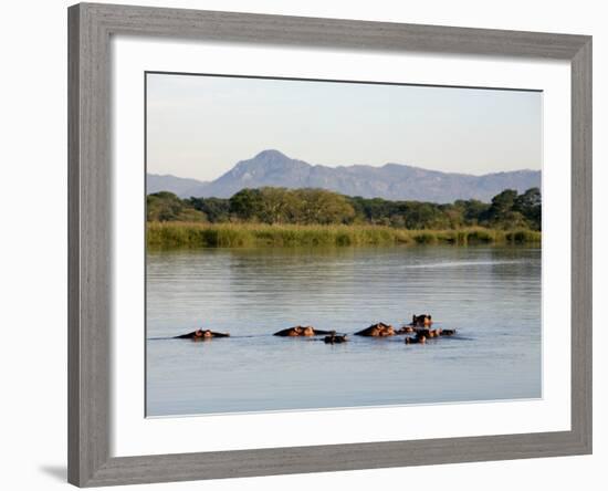 Malawi, Upper Shire Valley, Liwonde National Park-Mark Hannaford-Framed Photographic Print