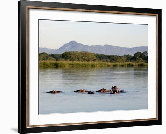 Malawi, Upper Shire Valley, Liwonde National Park-Mark Hannaford-Framed Photographic Print