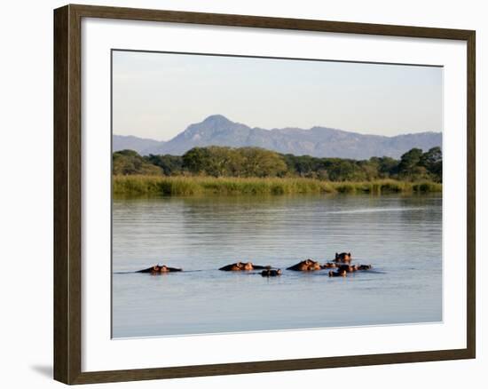 Malawi, Upper Shire Valley, Liwonde National Park-Mark Hannaford-Framed Photographic Print