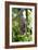 Malayan Flying Fox-Tony Camacho-Framed Photographic Print