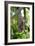 Malayan Flying Fox-Tony Camacho-Framed Photographic Print