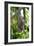 Malayan Flying Fox-Tony Camacho-Framed Photographic Print