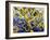 Malayan Green Whipsnake (Ahaetulla Mycterizans), Colubridae-null-Framed Giclee Print