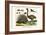 Malayan Porcupines and Ostrich-Albertus Seba-Framed Premium Giclee Print