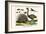 Malayan Porcupines and Ostrich-Albertus Seba-Framed Premium Giclee Print