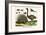 Malayan Porcupines and Ostrich-Albertus Seba-Framed Art Print