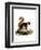 Malayan Squirrel-null-Framed Giclee Print