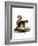 Malayan Squirrel-null-Framed Giclee Print