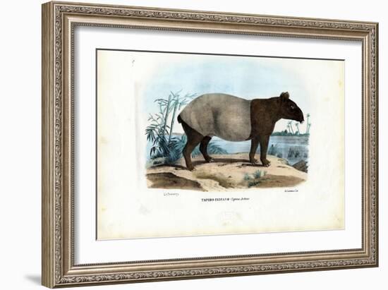 Malayan Tapir, 1863-79-Raimundo Petraroja-Framed Giclee Print