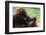 Malaysia, Sarawak, Semenggoh Nature Reserve, Orangutan and Baby-Nico Tondini-Framed Photographic Print