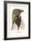 Malaysian Orchid-Louis Van Houtte-Framed Premium Giclee Print