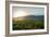 Malbec vineyards at the foot of the Andes in the Uco Valley near Mendoza, Argentina, South America-Alex Treadway-Framed Photographic Print