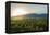 Malbec vineyards at the foot of the Andes in the Uco Valley near Mendoza, Argentina, South America-Alex Treadway-Framed Premier Image Canvas