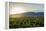 Malbec vineyards at the foot of the Andes in the Uco Valley near Mendoza, Argentina, South America-Alex Treadway-Framed Premier Image Canvas