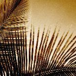 Light on Palms I-Malcolm Sanders-Giclee Print