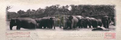 Elephant Journal-Malcom Sanders-Framed Art Print