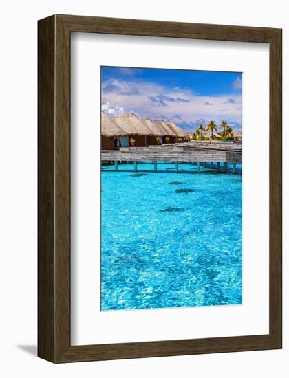 Maldives Bungalows &Blue Water-null-Framed Art Print