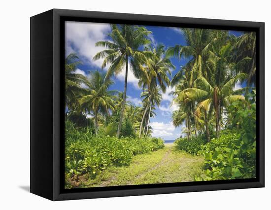 Maldives, Coconut Palms-Thonig-Framed Premier Image Canvas