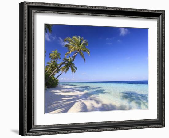 Maldives, Faafu Atoll, Filitheyo Island-Michele Falzone-Framed Photographic Print