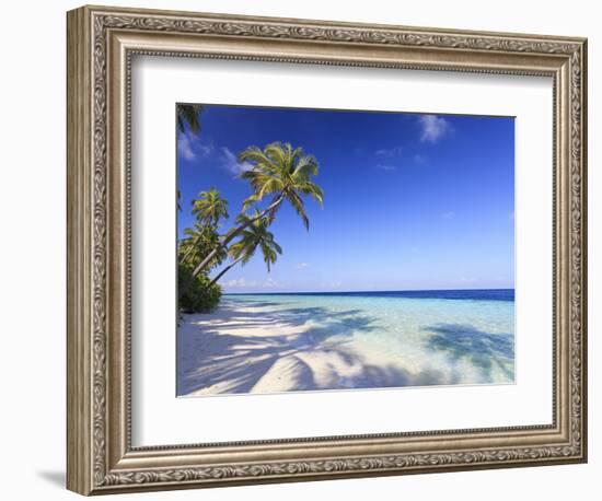 Maldives, Faafu Atoll, Filitheyo Island-Michele Falzone-Framed Photographic Print