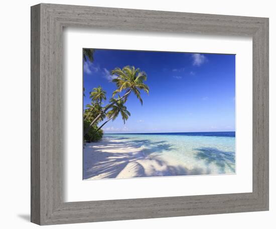 Maldives, Faafu Atoll, Filitheyo Island-Michele Falzone-Framed Photographic Print