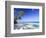 Maldives, Faafu Atoll, Filitheyo Island-Michele Falzone-Framed Photographic Print