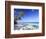 Maldives, Faafu Atoll, Filitheyo Island-Michele Falzone-Framed Photographic Print