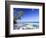 Maldives, Faafu Atoll, Filitheyo Island-Michele Falzone-Framed Photographic Print