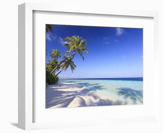 Maldives, Faafu Atoll, Filitheyo Island-Michele Falzone-Framed Photographic Print