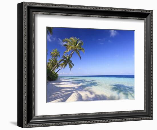 Maldives, Faafu Atoll, Filitheyo Island-Michele Falzone-Framed Photographic Print