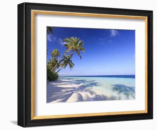 Maldives, Faafu Atoll, Filitheyo Island-Michele Falzone-Framed Photographic Print