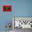 Maldives Flag Design with Wood Patterning - Flags of the World Series-Philippe Hugonnard-Art Print displayed on a wall