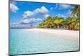 Premium Photographic Print