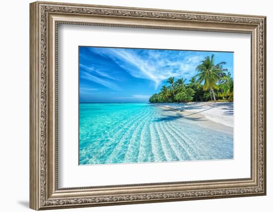 Maldives Islands Ocean Tropical Beach-Altug Galip-Framed Photographic Print