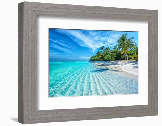 Maldives Islands Ocean Tropical Beach-Altug Galip-Framed Photographic Print