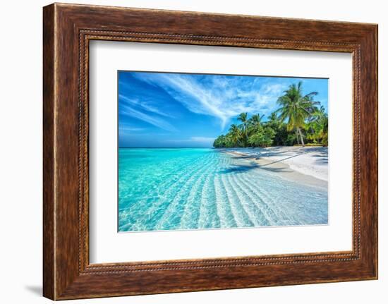 Maldives Islands Ocean Tropical Beach-Altug Galip-Framed Photographic Print