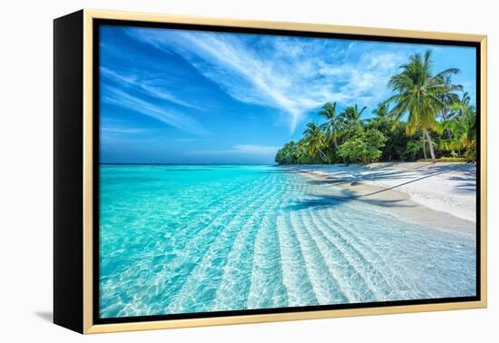 Maldives Islands Ocean Tropical Beach-Altug Galip-Framed Premier Image Canvas