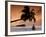 Maldives, Meemu Atoll, Medhufushi Island, Man Meditating on the Beach (Mr)-Michele Falzone-Framed Photographic Print