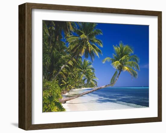 Maldives, Palm Beach-Thonig-Framed Photographic Print