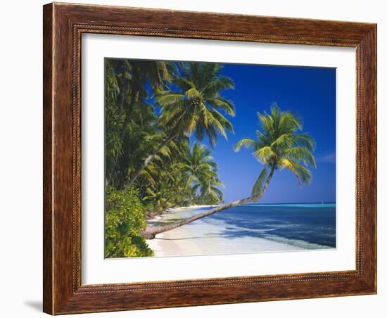 Maldives, Palm Beach-Thonig-Framed Photographic Print