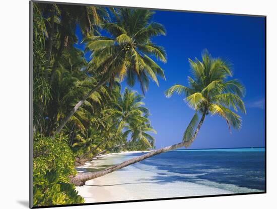 Maldives, Palm Beach-Thonig-Mounted Photographic Print